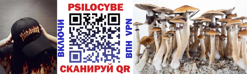 хочу   Починок  Псилоцибиновые грибы мицелий 